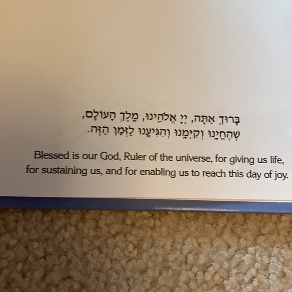 The Jewish Baby Book - Picture 9 of 10